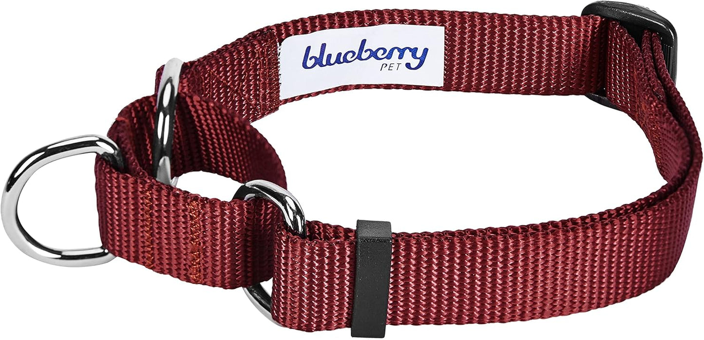 Blueberry Pet Essentials Martingale Safety Training Dog Collar, Fired Brick, Small, Heavy Duty Nylon Adjustable Collars for Dogs