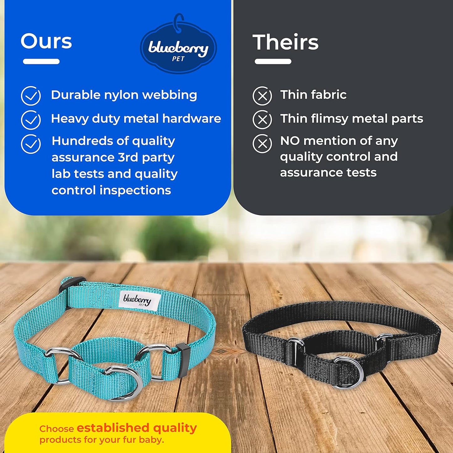 Blueberry Pet Essentials Martingale Safety Training Dog Collar, Fired Brick, Small, Heavy Duty Nylon Adjustable Collars for Dogs