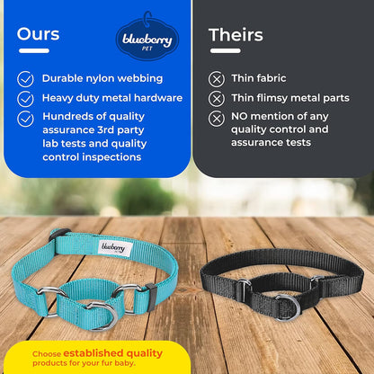 Blueberry Pet Essentials Martingale Safety Training Dog Collar, Fired Brick, Small, Heavy Duty Nylon Adjustable Collars for Dogs