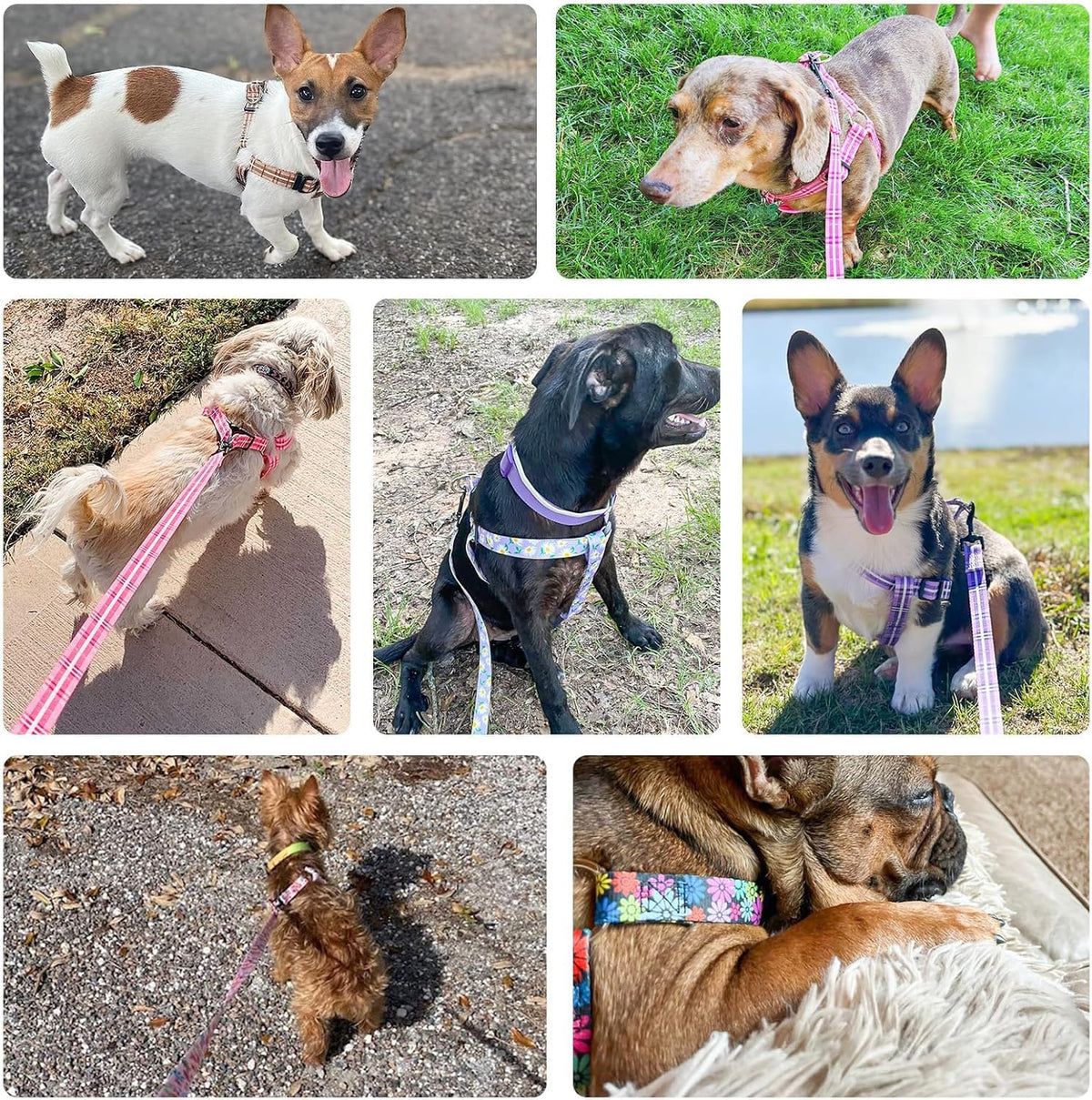 Dog Harness Small Sized Dog Girl, No Pull Dog Harness and Leash Set,Step in Soft Light Puppy Vest, No Choke Heavy Duty Dog Halter with Bell,Breathable Adjustable Nylon Pet Harnesses, Pink XS