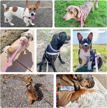 Dog Harness Small Sized Dog Girl, No Pull Dog Harness and Leash Set,Step in Soft Light Puppy Vest, No Choke Heavy Duty Dog Halter with Bell,Breathable Adjustable Nylon Pet Harnesses, Pink XS