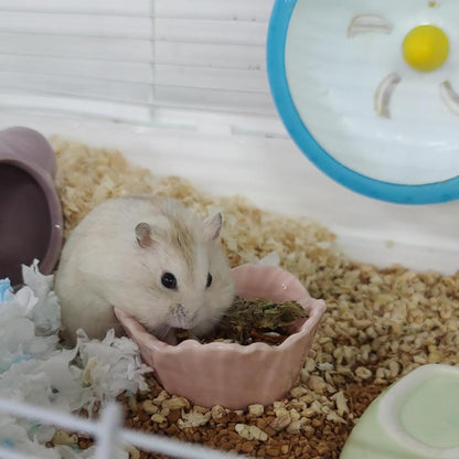 Small Ceramic Pet Hamster Bowl, Easy to Clean Anti Flipping Hamsters Food and Water Bowl, Small Animal Bowls for Dwarf Hamster, Parrots (Pink, s)