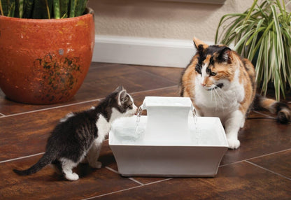 PetSafe Drinkwell Pagoda Pet Fountain, Dog and Cat Water Bowl Dispenser, Multiple Angles to Drink from, Filters Included, Elevated Fountain 70 oz Capacity, Ceramic, White