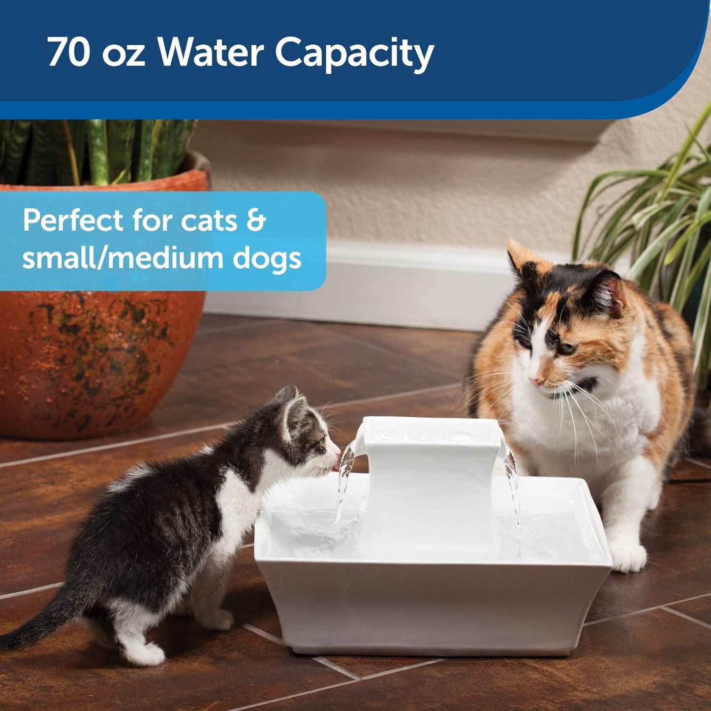 PetSafe Drinkwell Pagoda Pet Fountain, Dog and Cat Water Bowl Dispenser, Multiple Angles to Drink from, Filters Included, Elevated Fountain 70 oz Capacity, Ceramic, White