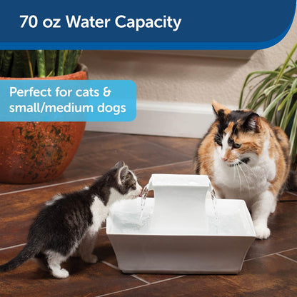 PetSafe Drinkwell Pagoda Pet Fountain, Dog and Cat Water Bowl Dispenser, Multiple Angles to Drink from, Filters Included, Elevated Fountain 70 oz Capacity, Ceramic, White