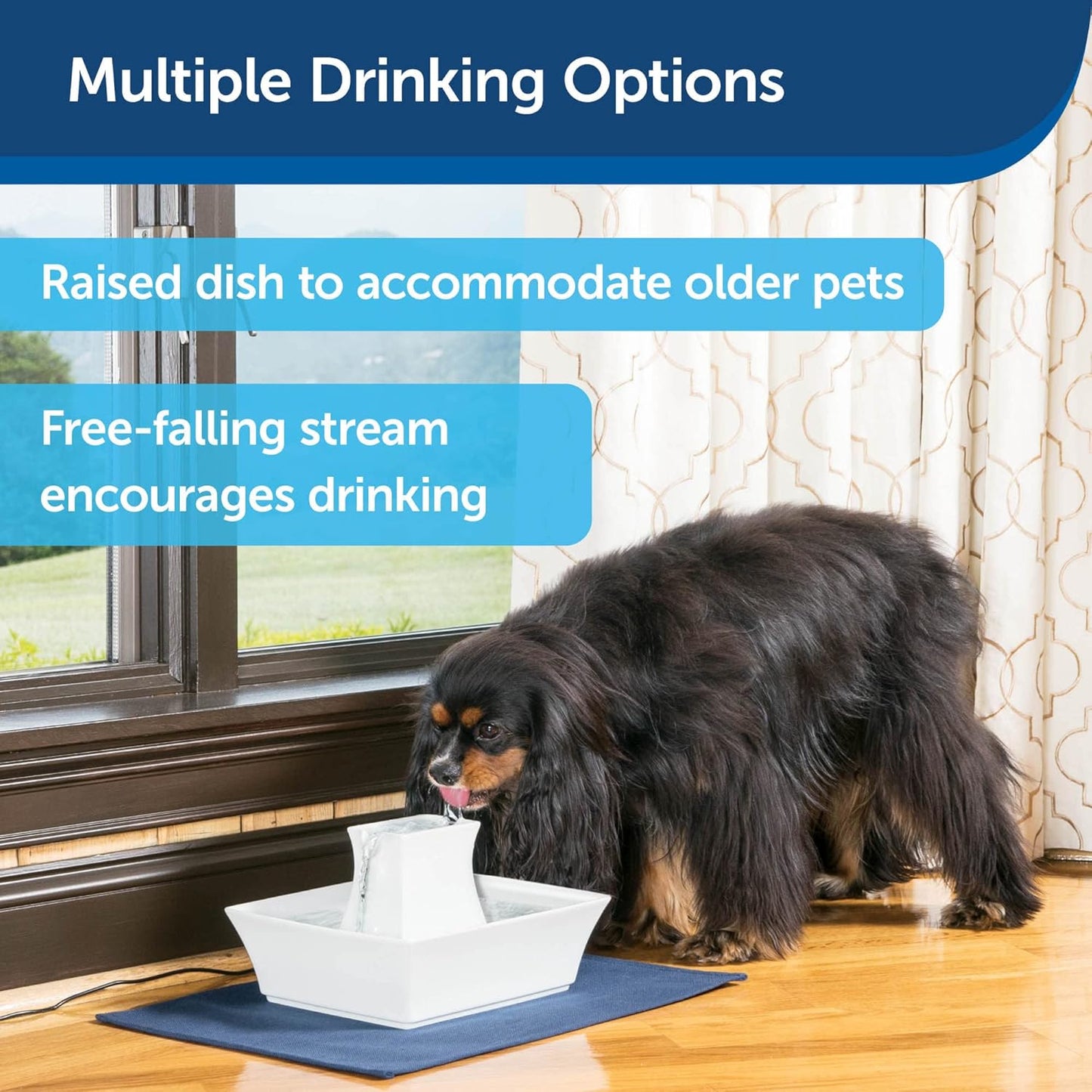 PetSafe Drinkwell Pagoda Pet Fountain, Dog and Cat Water Bowl Dispenser, Multiple Angles to Drink from, Filters Included, Elevated Fountain 70 oz Capacity, Ceramic, White