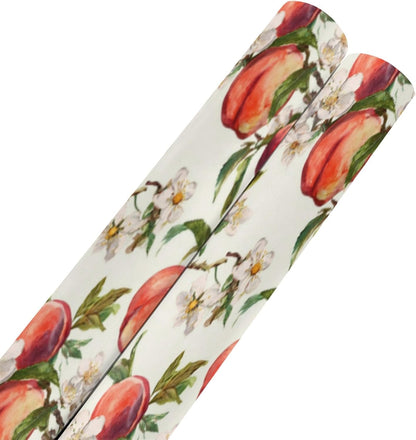 2 Rolls Birthday Wrapping Paper Roll - Watercolor Peaches Design Gift Wrap Perfect for Weddings, Brides, Holidays, Baby Showers - 58 x 22.8 inches