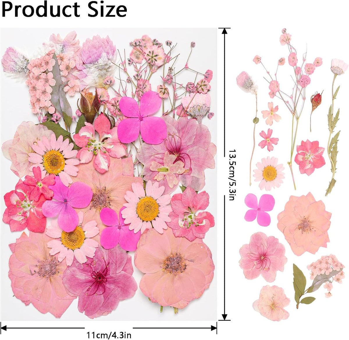 50Pcs Dried Pressed Flowers Real Pressed Flowers Natural Dry Leaves Bulk Mixed Colorful Herbs Kit with Tweezers for Scrapbooking DIY Candle Jewelry Crafts Making Nails (Pink)