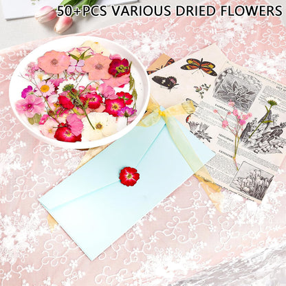 50Pcs Dried Pressed Flowers Real Pressed Flowers Natural Dry Leaves Bulk Mixed Colorful Herbs Kit with Tweezers for Scrapbooking DIY Candle Jewelry Crafts Making Nails (Pink)