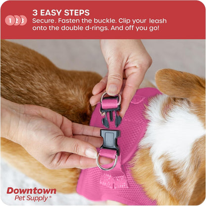 Step-in Dog Harness – No Pull, Adjustable Padded Mesh with Reflective Trim, Secure Buckle Strap – Comfortable & Breathable Small Dog Harness, Small, Pink