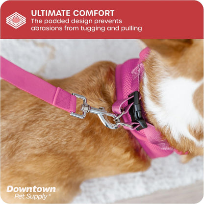 Step-in Dog Harness – No Pull, Adjustable Padded Mesh with Reflective Trim, Secure Buckle Strap – Comfortable & Breathable Small Dog Harness, Small, Pink