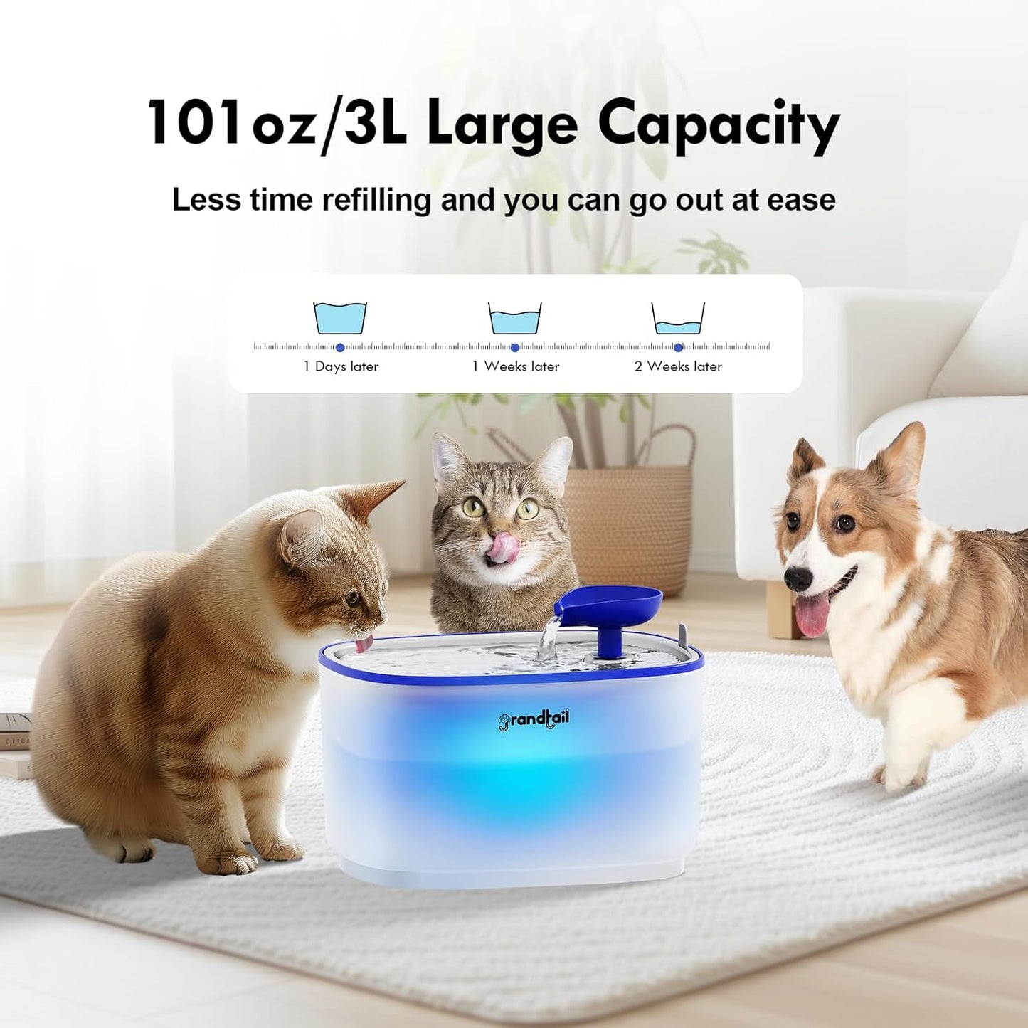 Cat Water Fountain Stainless Steel, Cat Fountain Dog Water Dispenser with Wireless Pump, 101oz/3L Cat Water Dispenser Build-in LED Light, BPA-Free Pet Water Fountain with Two Flow Modes