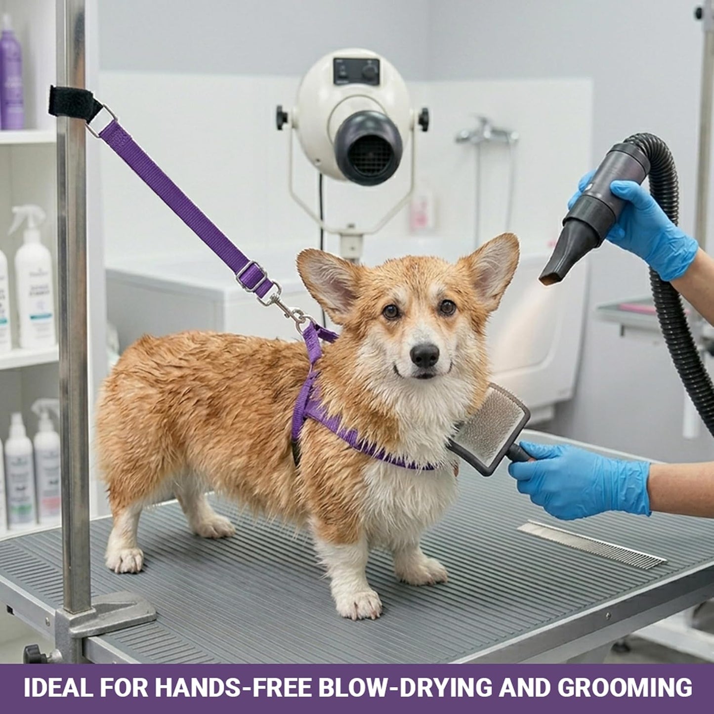Dog Grooming Arm Accessories, 3 Pack Adjustable Grooming Loop Extension Straps, Pet Bathing Restraints Leashes Table Lead for Small, Medium & Large Dogs