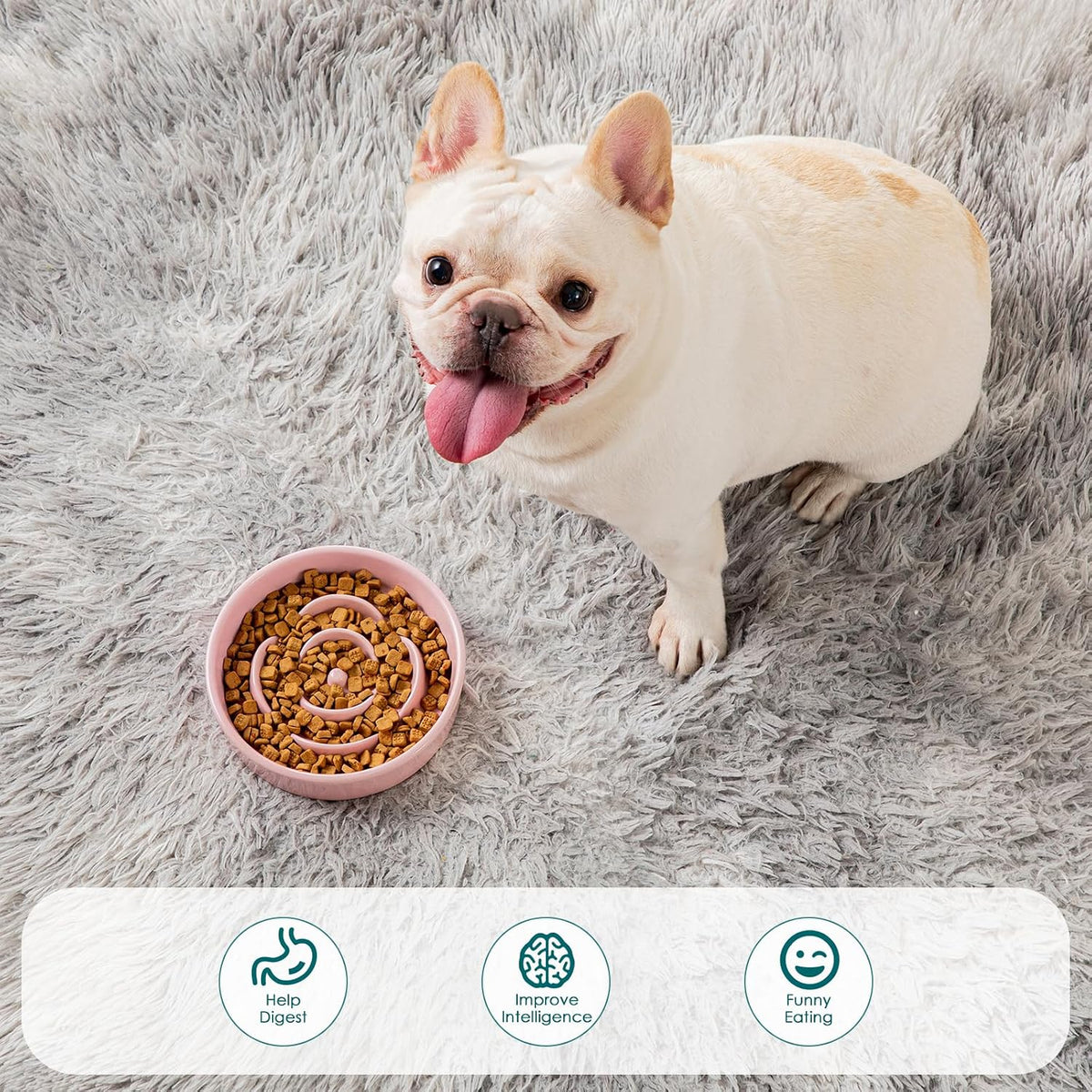 Ceramic Slow Feeder Dog Bowl, 0.6 Cup Puzzle Dish for Small Breeds