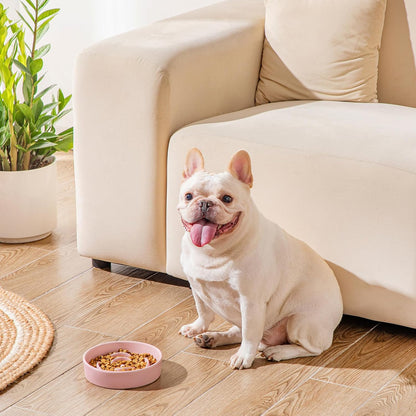 Ceramic Slow Feeder Dog Bowl, 0.6 Cup Puzzle Dish for Small Breeds