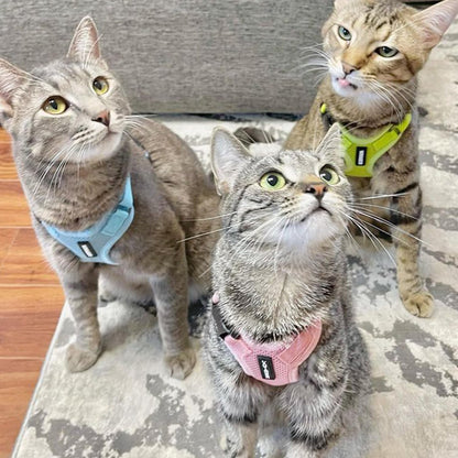 Voyager Step-in Lock Cat Harness & Leash Set - Pink, XS