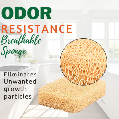 Silicone Dish Sponge Scrubbers, Unscented Freshness, Non-Scratch, Odor-Resistant, Durable Dish Sponges for Kitchen 3pk