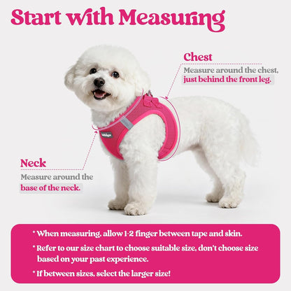 rabbitgoo Dog Harness Small Sized and Leash Set, Step in Soft Light Puppy Vest, Breathable Mesh Pet Harness, Reflective for Safe Easy Walking, Rose Red XS