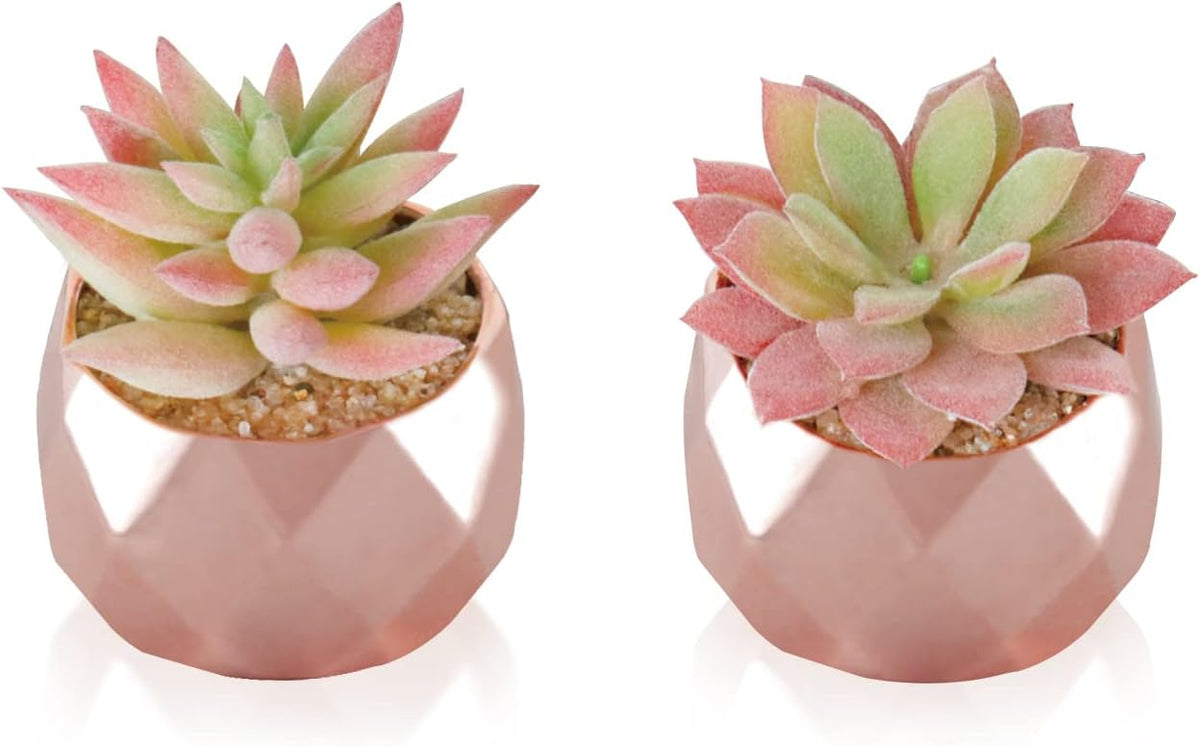 Tiita Mini Rose Gold Artificial Succulents in Pots for Desk and Shelf Decor
