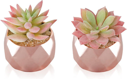 Tiita Mini Rose Gold Artificial Succulents in Pots for Desk and Shelf Decor