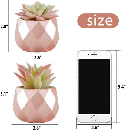 Tiita Mini Rose Gold Artificial Succulents in Pots for Desk and Shelf Decor