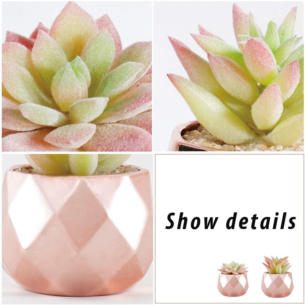 Tiita Mini Rose Gold Artificial Succulents in Pots for Desk and Shelf Decor
