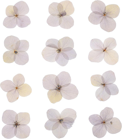 Dried Pressed Flower, 48 Pcs for Resin DIY Crafts Nail Art Cards Scrapbooking Jewelry Making Floral Decor Candle Decors, Pink Purple