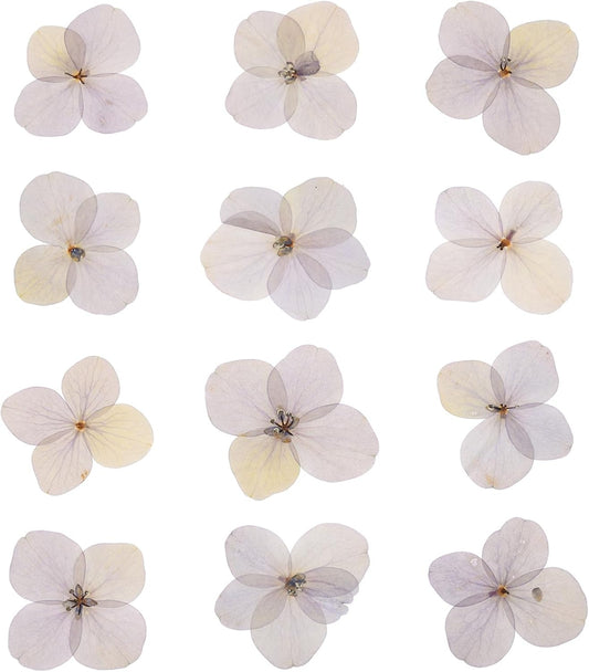 Dried Pressed Flower, 48 Pcs for Resin DIY Crafts Nail Art Cards Scrapbooking Jewelry Making Floral Decor Candle Decors, Pink Purple