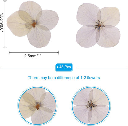 Dried Pressed Flower, 48 Pcs for Resin DIY Crafts Nail Art Cards Scrapbooking Jewelry Making Floral Decor Candle Decors, Pink Purple
