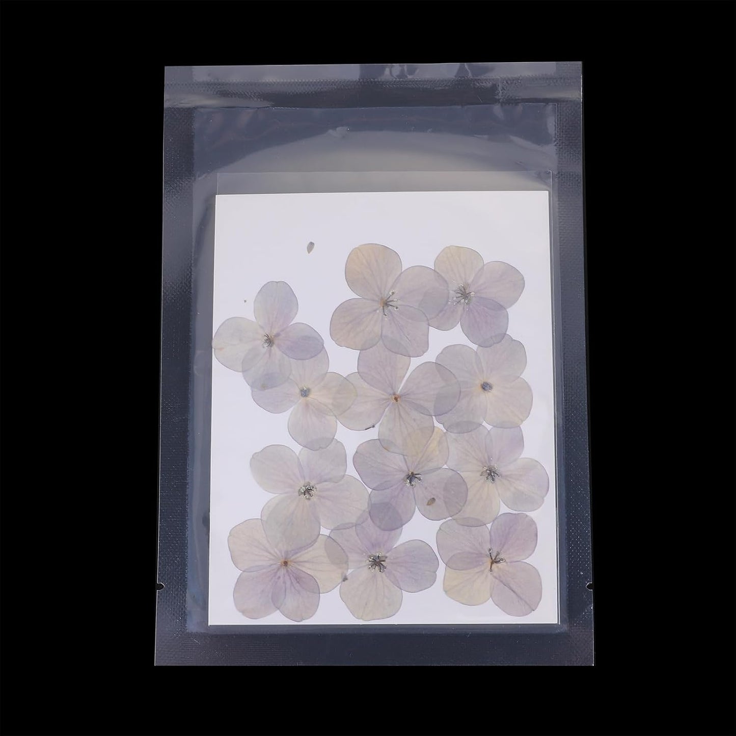 Dried Pressed Flower, 48 Pcs for Resin DIY Crafts Nail Art Cards Scrapbooking Jewelry Making Floral Decor Candle Decors, Pink Purple