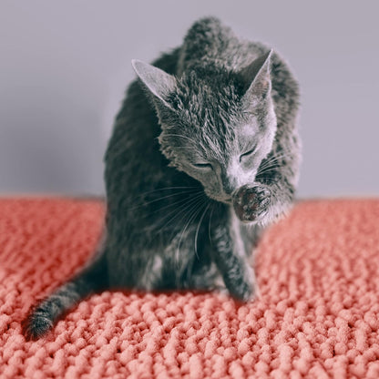 Cat Litter Mat, Medium, Extra Large, XXL, Waterproof Litter Box Mat, Non Slip Kitty Litter Mat, Machine Washable Litter Trapping Mat, Soft Litter Tray, Cat Stuff (Medium, Coral/Heavy-Duty)