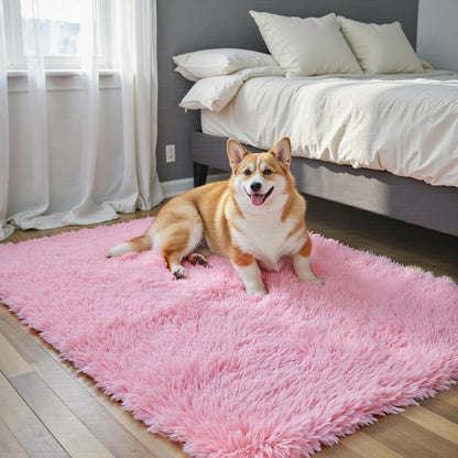 Small Shag Area Rug for Bedroom, 2x3 Pink Soft Plush Carpet