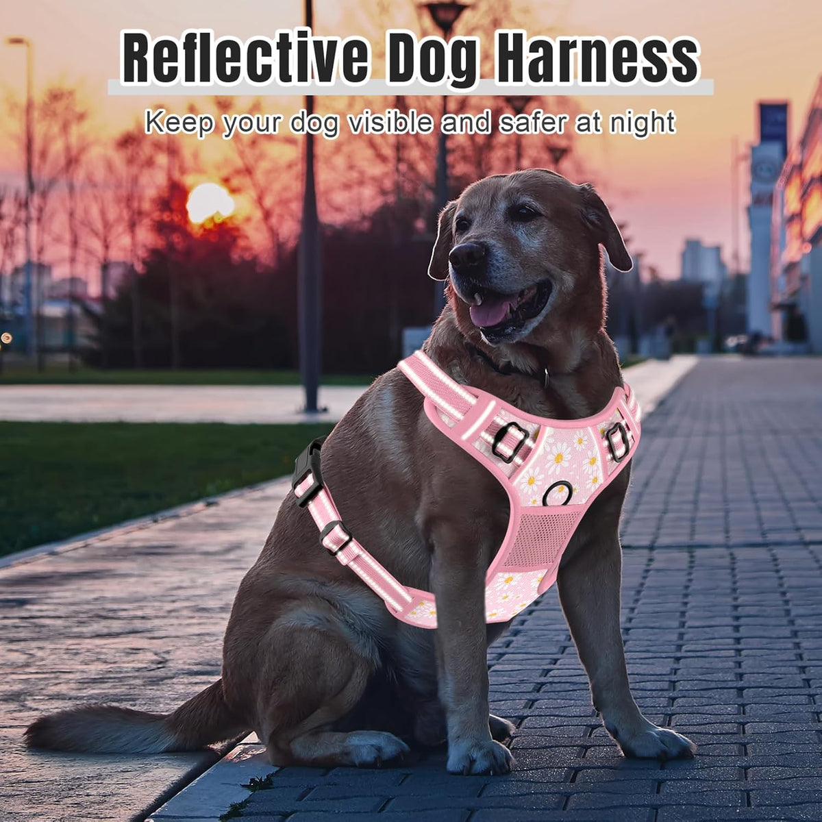 No Pull Dog Harness, Cute Flower Reflective Medium Sized Puppy Harness, Adjustable Soft Padded Vest for Medium Dogs, Heavy Duty Pet Vest with Easy Control Handle for Walking, Pink Floral