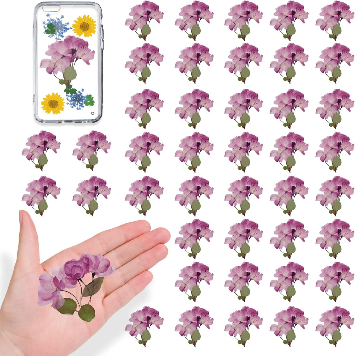 42PCS Natural Real Dried Begonia Flowers with Stems for Resin, Nature Pink Purple Pressed Dry Begonia Flower for Art DIY Crafts Jewelry Card Scrapbooking Making Wedding Home Decors