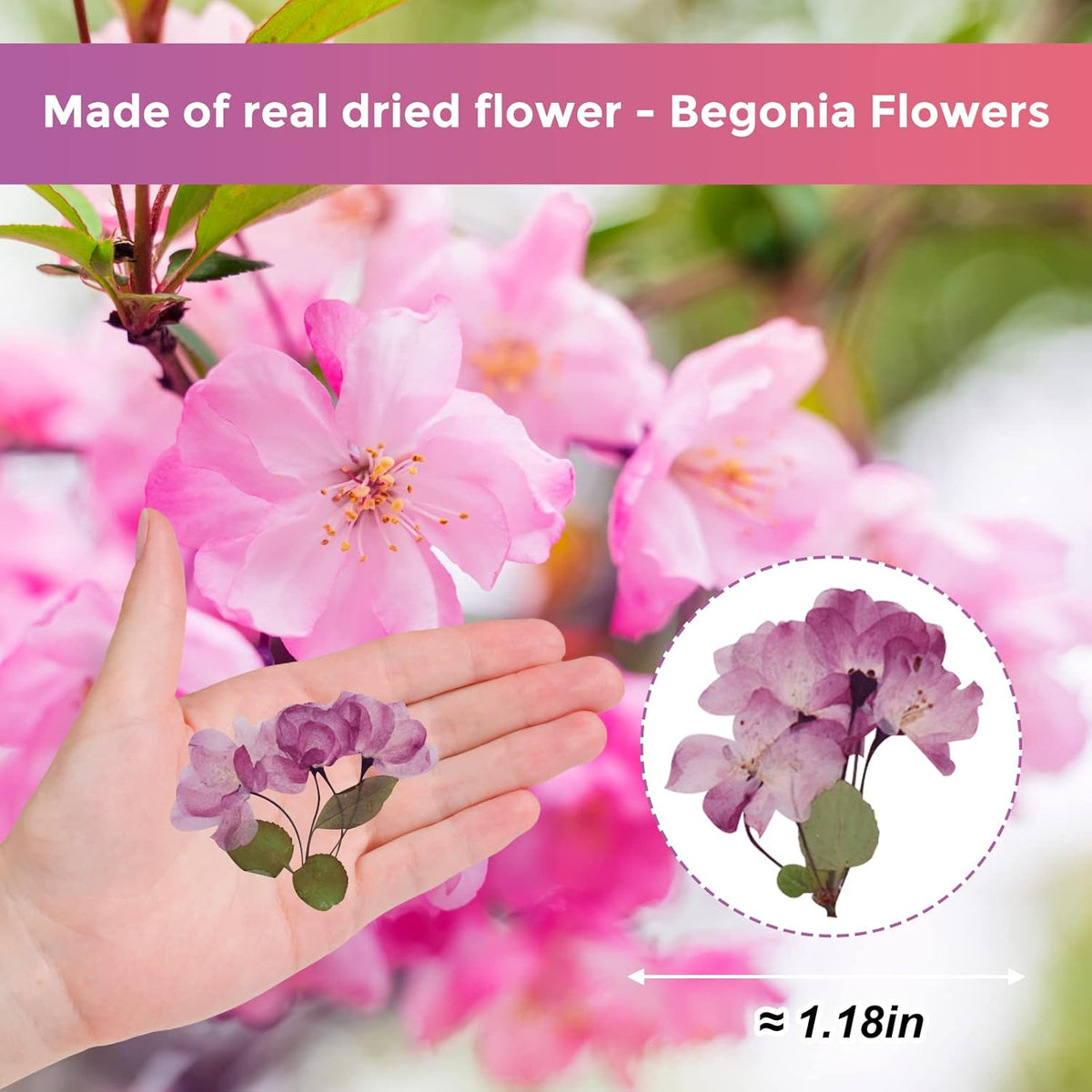 42PCS Natural Real Dried Begonia Flowers with Stems for Resin, Nature Pink Purple Pressed Dry Begonia Flower for Art DIY Crafts Jewelry Card Scrapbooking Making Wedding Home Decors