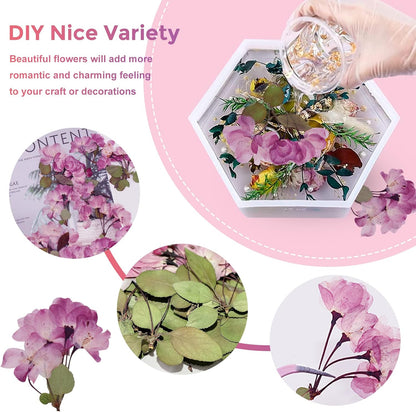 42PCS Natural Real Dried Begonia Flowers with Stems for Resin, Nature Pink Purple Pressed Dry Begonia Flower for Art DIY Crafts Jewelry Card Scrapbooking Making Wedding Home Decors
