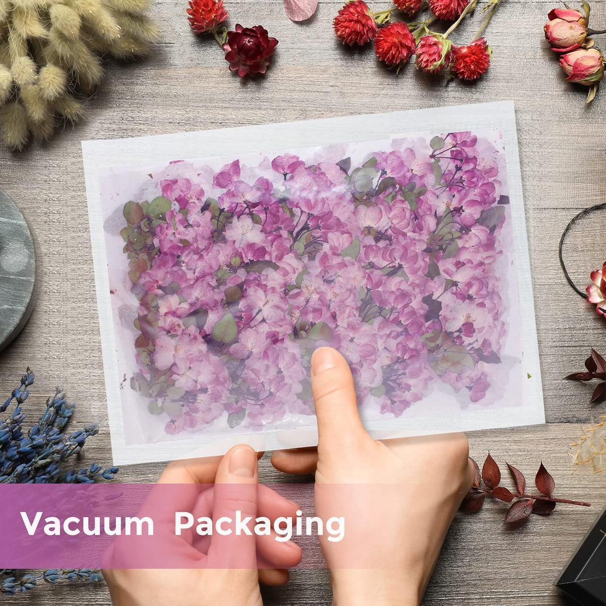 42PCS Natural Real Dried Begonia Flowers with Stems for Resin, Nature Pink Purple Pressed Dry Begonia Flower for Art DIY Crafts Jewelry Card Scrapbooking Making Wedding Home Decors