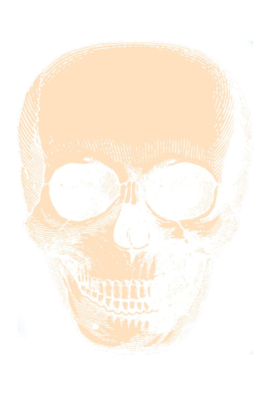 Pastel Peach Skull Journal