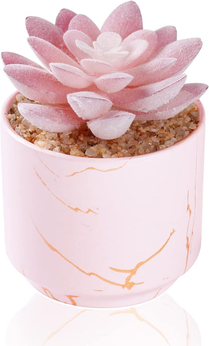 ZENIDA Succulent Artificial Plants,Cute Fake Succulents in 1 Pink Ceramic Pots,Small Fake Plants for Office,Table,Desk,Bathroom, Bedroom,Aesthetic Room Shelves Decor,Desk Decorations for Women Office