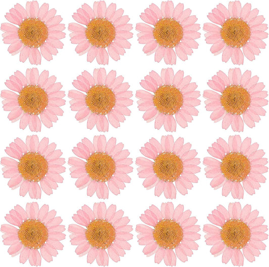 48 Pcs Dried Pressed Flower Natural Dried Daisy Flower for DIY Art Crafts House Decoration Nails Decoration,Pink