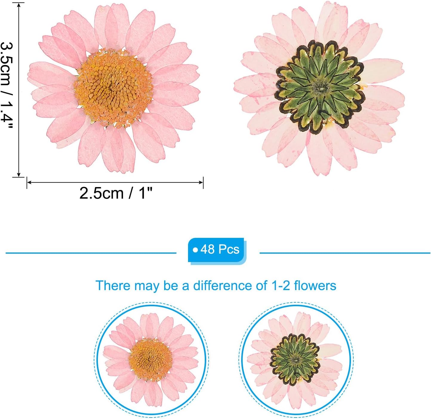 48 Pcs Dried Pressed Flower Natural Dried Daisy Flower for DIY Art Crafts House Decoration Nails Decoration,Pink
