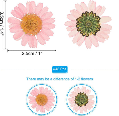 48 Pcs Dried Pressed Flower Natural Dried Daisy Flower for DIY Art Crafts House Decoration Nails Decoration,Pink
