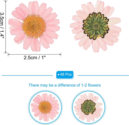 48 Pcs Dried Pressed Flower Natural Dried Daisy Flower for DIY Art Crafts House Decoration Nails Decoration,Pink