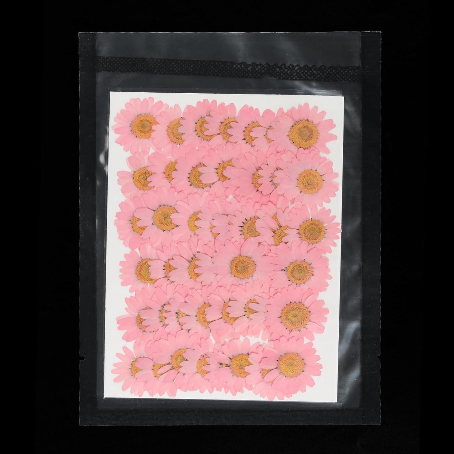 48 Pcs Dried Pressed Flower Natural Dried Daisy Flower for DIY Art Crafts House Decoration Nails Decoration,Pink