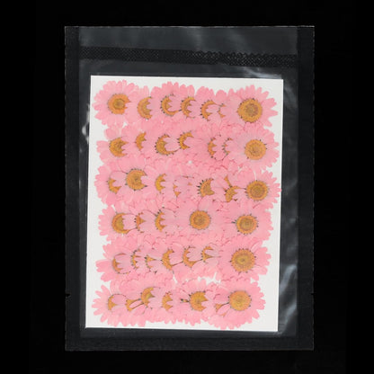 48 Pcs Dried Pressed Flower Natural Dried Daisy Flower for DIY Art Crafts House Decoration Nails Decoration,Pink