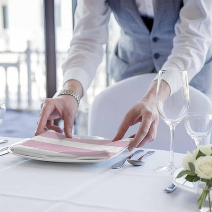 Light Pink Striped Cloth Napkins Set of 4 Modern Stripe Simple Style Abstract Soft Washable Square Dinner Napkins for Party Wedding Restaurant Hotel Cocktail 20x20 Inch