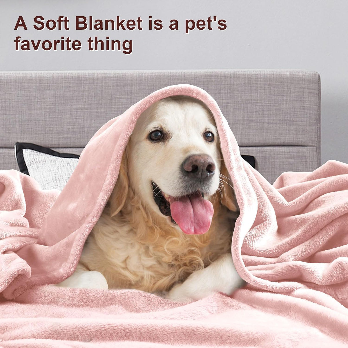 Soft Plush Fuzzy Fleece Throw Blanket for Couch Sofa Chair 50" x 60", Decorative Solid Lightweight Fluffy Velvet Blankets for Women Girl, Cozy Accent Shaggy Flannel Blanket for Bedroom, Pink