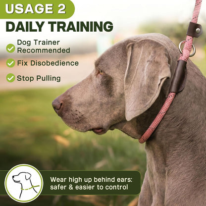 Durable Slip Leads for Dogs, 6 FT x 1/2" Heavy Duty Dog Loop Leashes, Comfortable Strong Rope Slip Leash for Small Dogs and Puppies, No Pull Pet Training Lead with Highly Reflective(1/2", Pink)