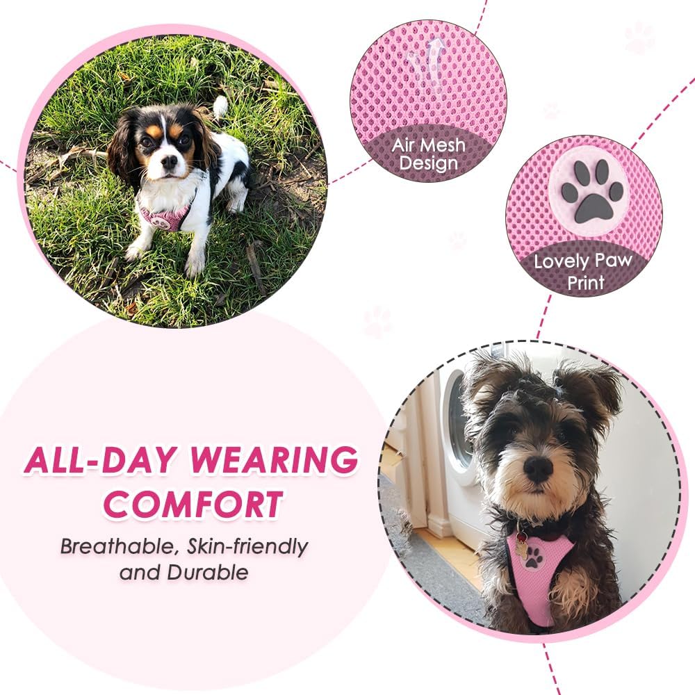 Lukovee Dog Car Harness Seat Belt, Adjustable Mesh Breathable Vest with Elastic Bungee Tether, Soft Padded 2-in-1 Safety Car Harness Seatbelt for Small Medium Large Dogs (A-Pink,M)