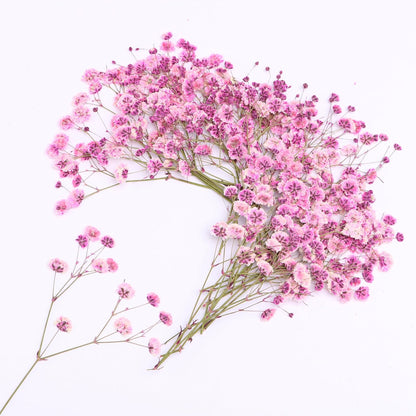 30 Pcs Pink Baby's Breath Real Dried Pressed Flowers.Vacuum-Packed Mini DriedBaby's Breath Flowe Specimen +1 Tweezers, for Resin Art /DIY Making Wedding Card/ Home Party Decor.